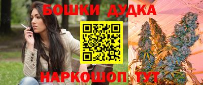 прущие грибы Абакан