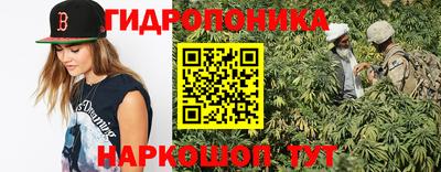 прущие грибы Абакан