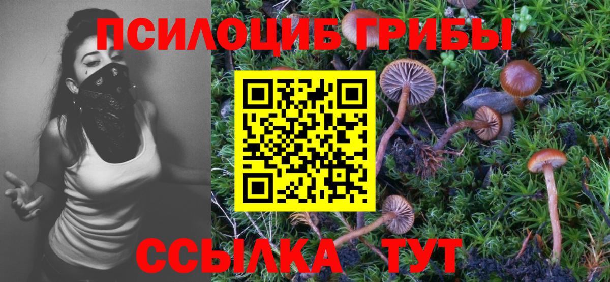 Галлюциногенные грибы MAGIC MUSHROOMS  где можно купить наркотик  Ревда  Вход с VPN 